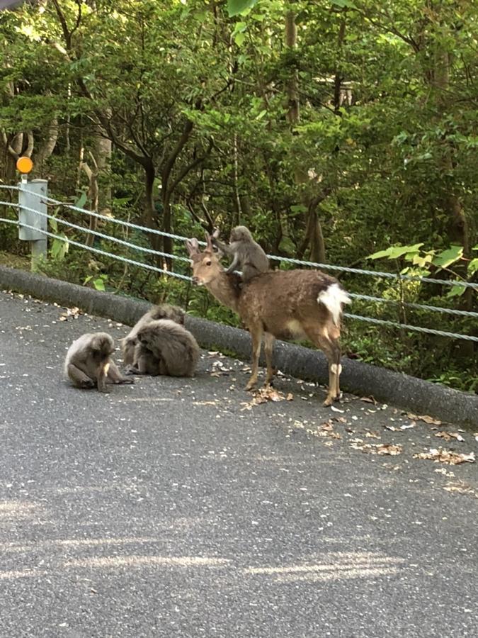 Yakushima Pension Luana House Экстерьер фото